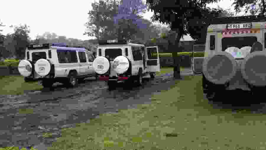 Lake Manyara safari package