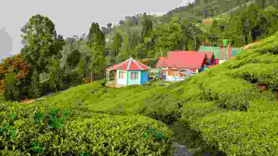 Kurseong. West Bengal