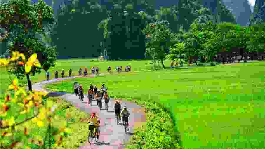 Cycling in the Countryside