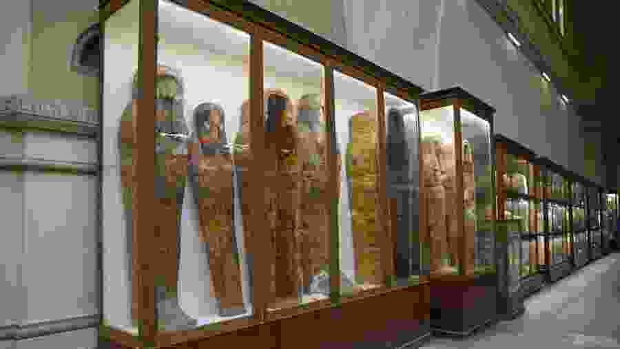 Exhibits of Cairo Museum