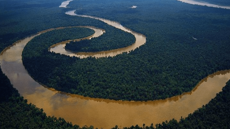 Arial View of the Pacaya Samiria National Reserve