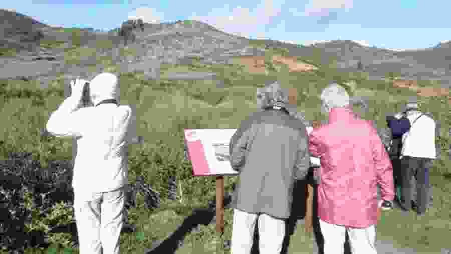 Birding