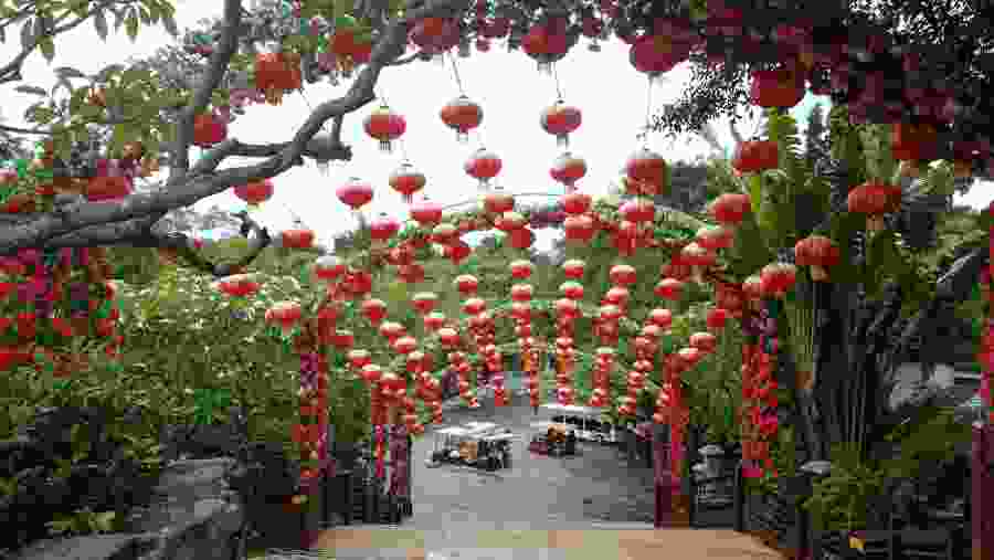 Lantern festival