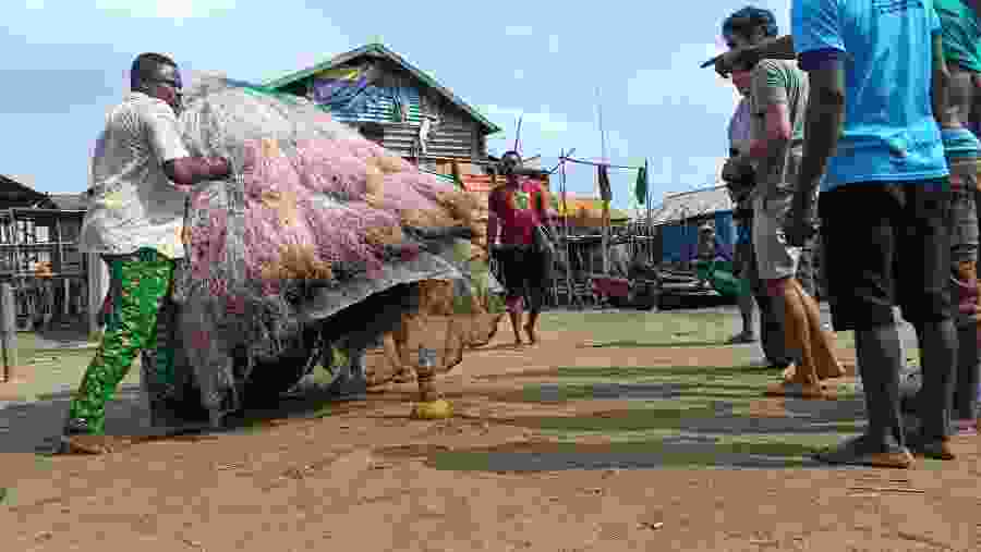 Voodoo Festival Tour