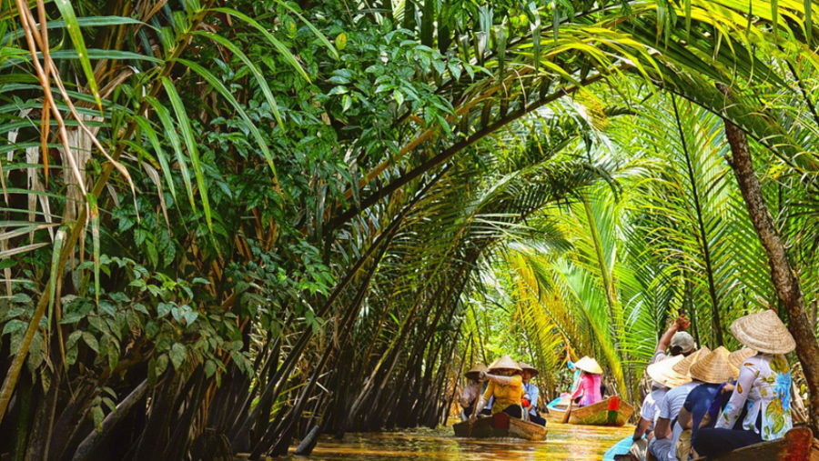 Mekong Delta