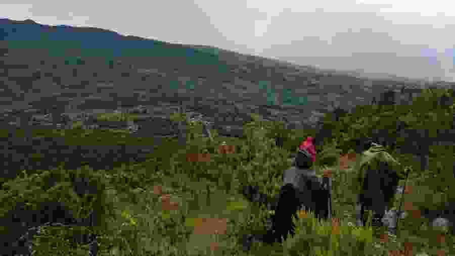 Experience a scenic hike adventure