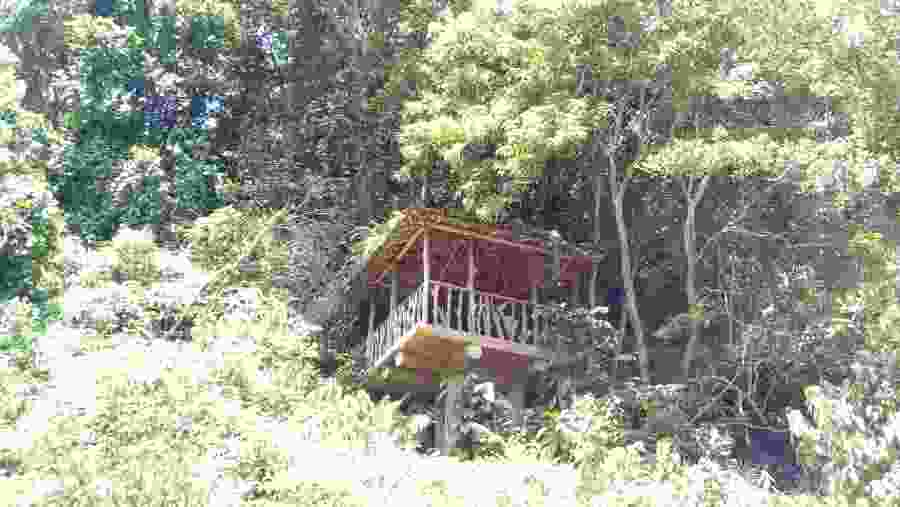 Tree house