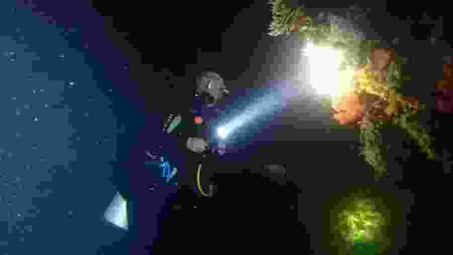 Scuba Diving in Unawatuna