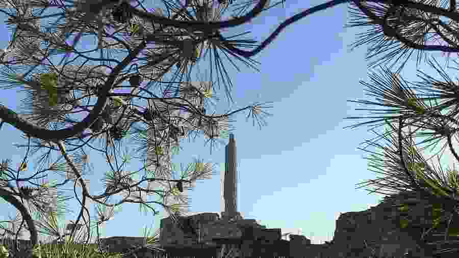 Apollo Aegina