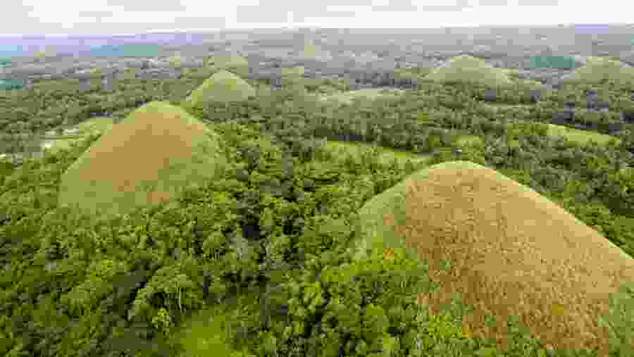 Chocolate Hills Tour