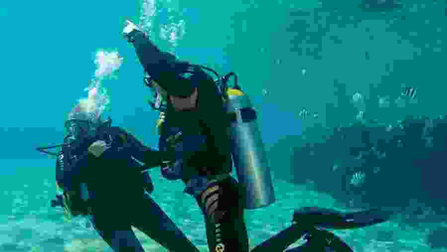 Scuba Diving