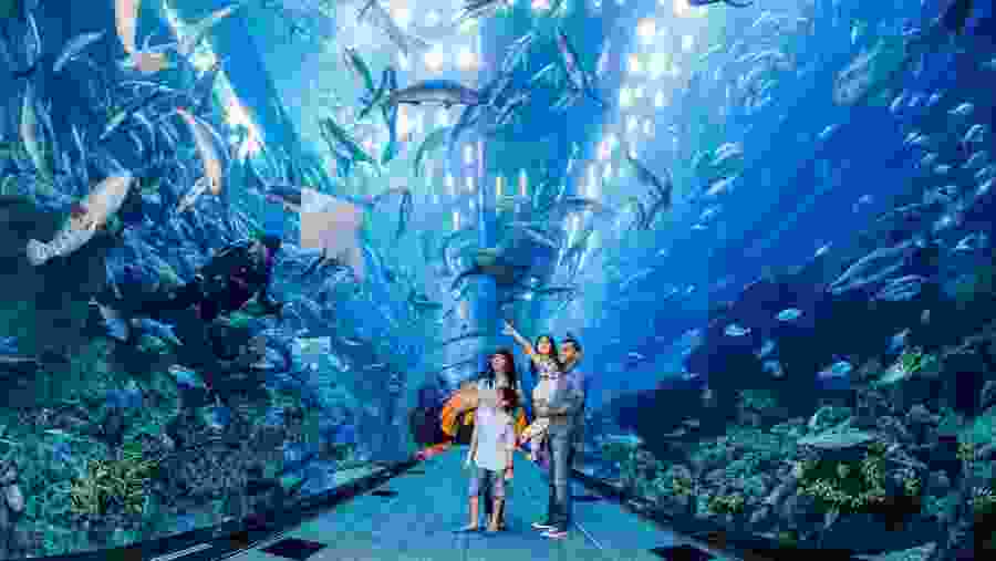 Dubai Aquarium
