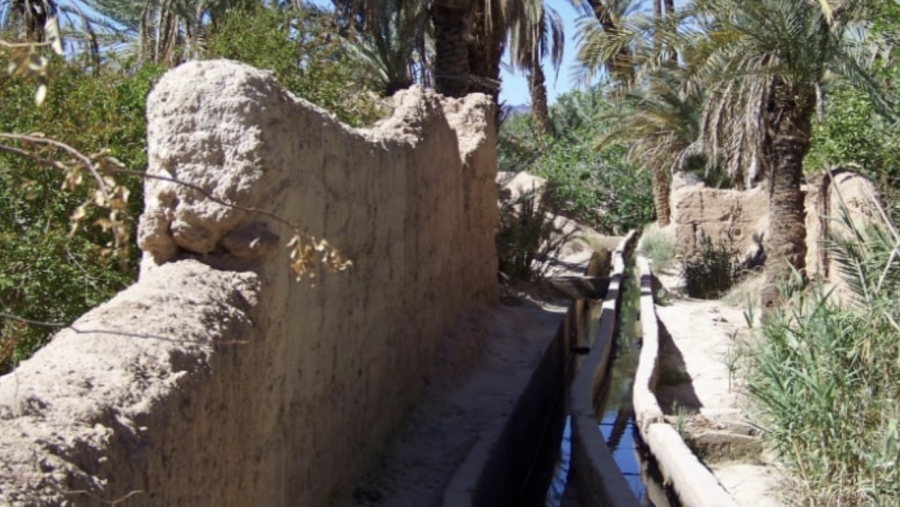 Oasis in Tata region