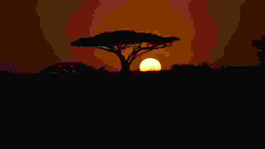 Sunset At Serengeti National Park