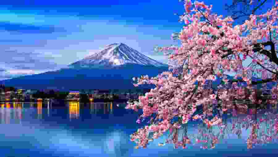 Marvel at Mt Fuji