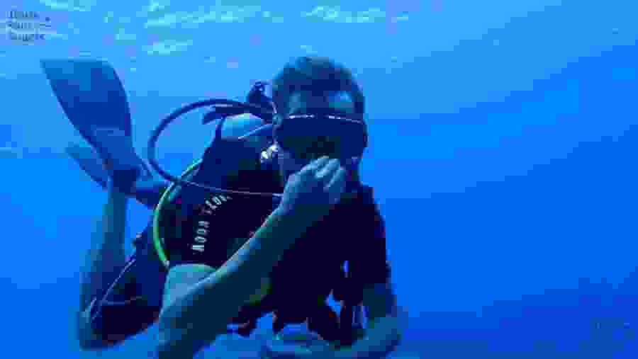 Scuba Diving