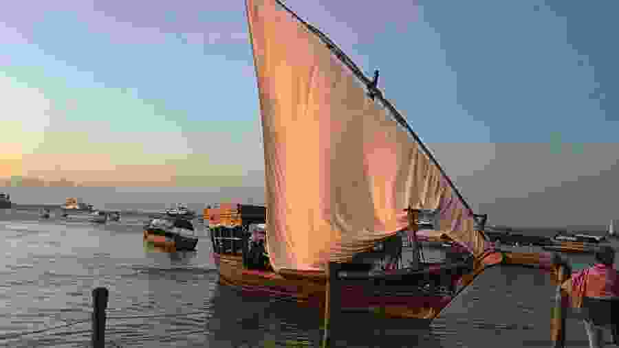 Kizimkazi Dolphin & Snorkeling Safari