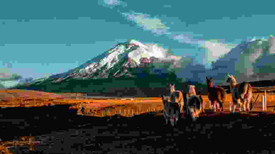 Cotopaxi volcano