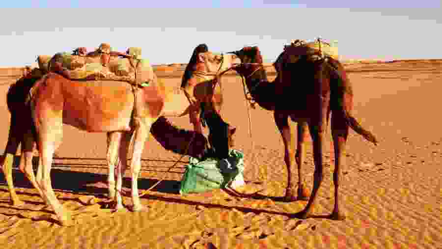 ANTIQUITIES OF CAIRO