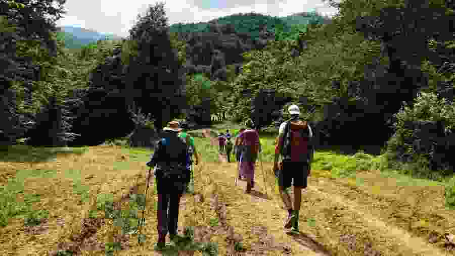 Trekking