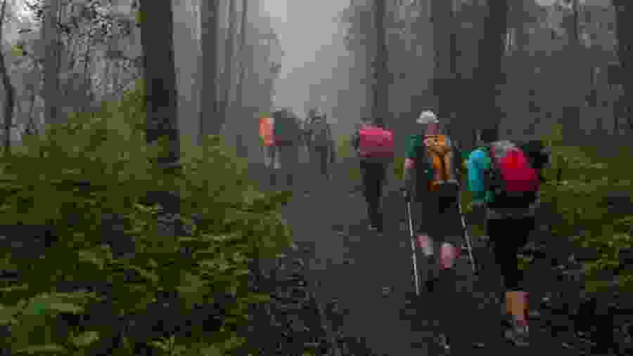 Mount Kilimanjaro hiking tour