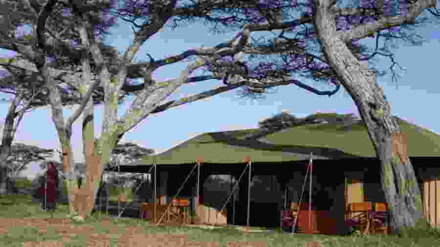 Rural Lives Of The Natives