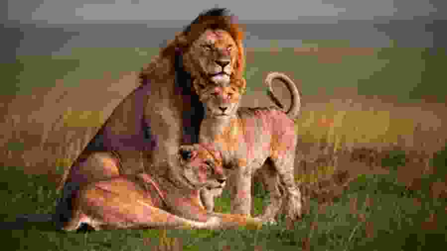 A family at play in the national park