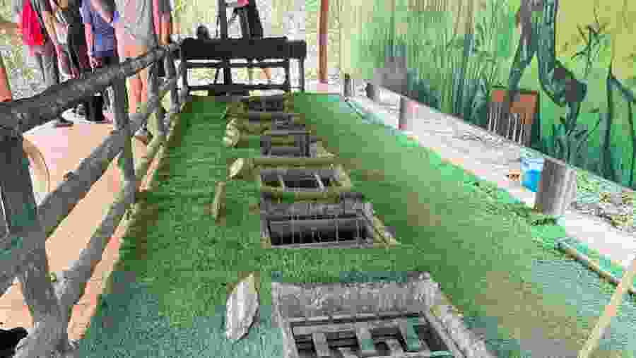 Cu Chi Tunnels and Saigon City