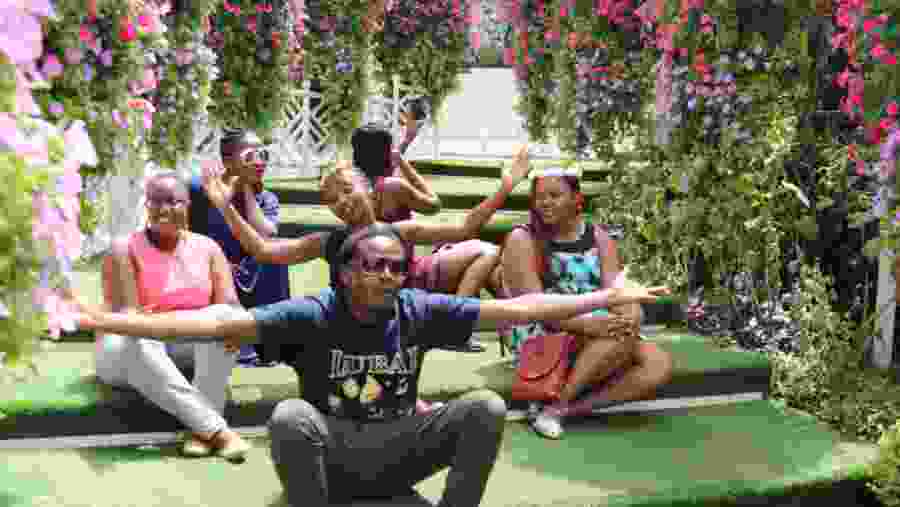 The Botanical Garden