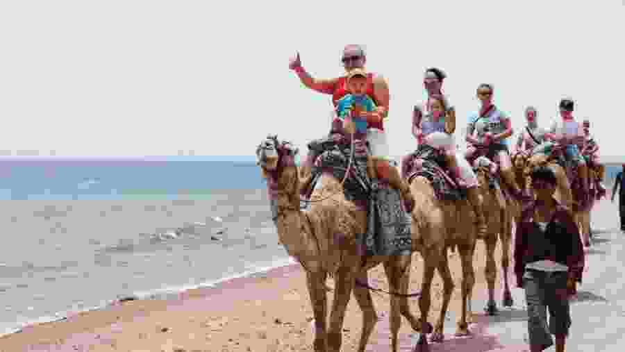 Camel Rides