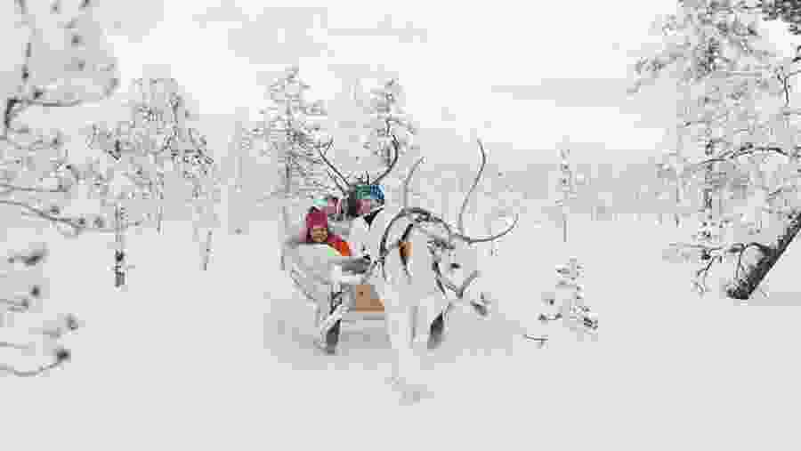 Reindeer Sledge