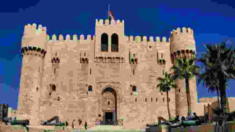 Grand Safari And Antiquities Of Egypt