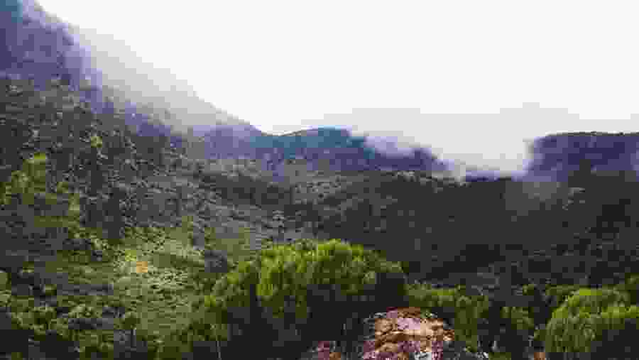 Follow the Adventurous Trekking Trail in Vast Lands