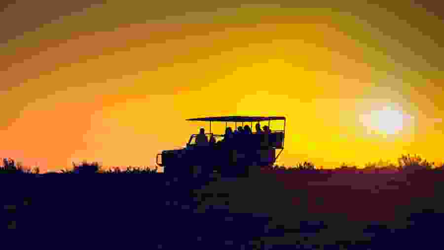 Jeep Safari at Mikumi National Park