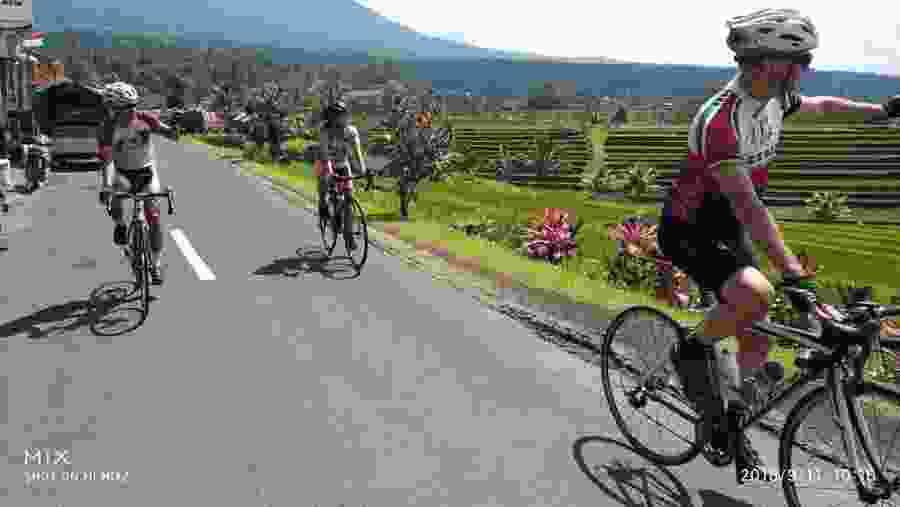 Jatiluwih Rice Fields