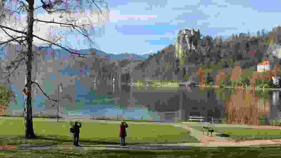 Admire the Bled Castle