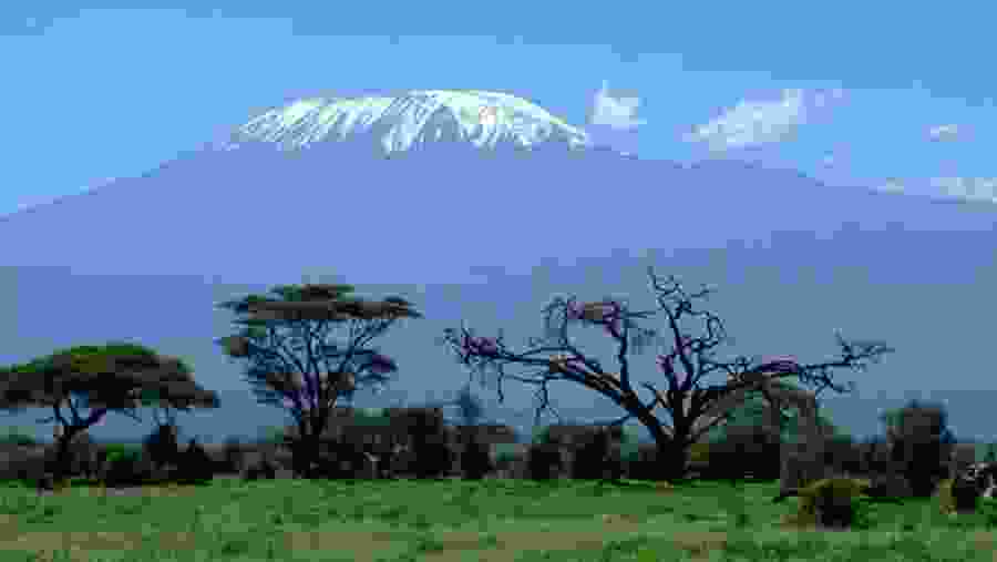 Mount Kilimanjaro