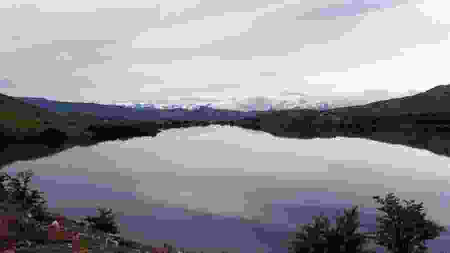 Northern Patagonia Forest In Chile