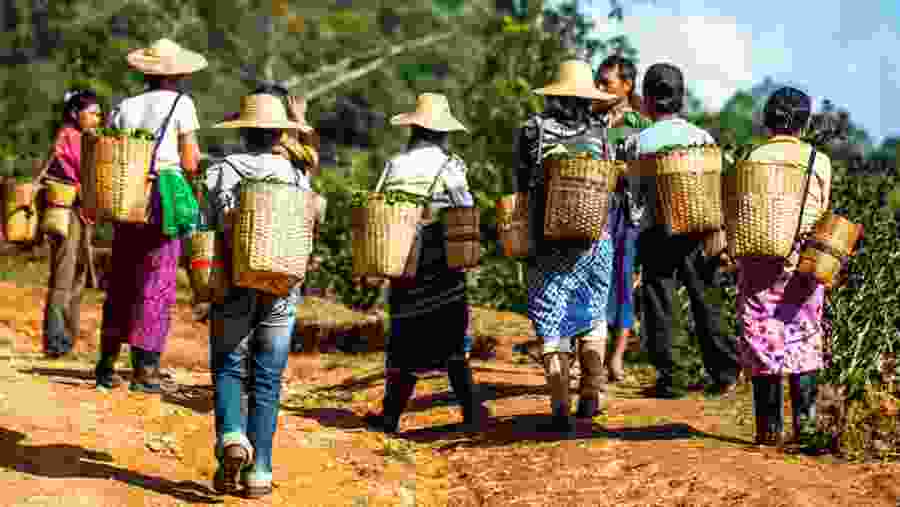 See local women at work