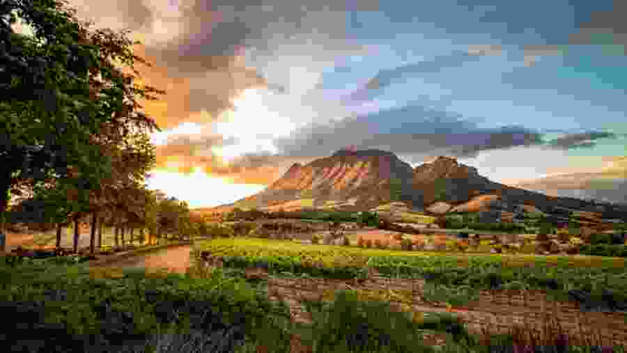 Stellenbosch, Franschhoek and the Cape Winelands