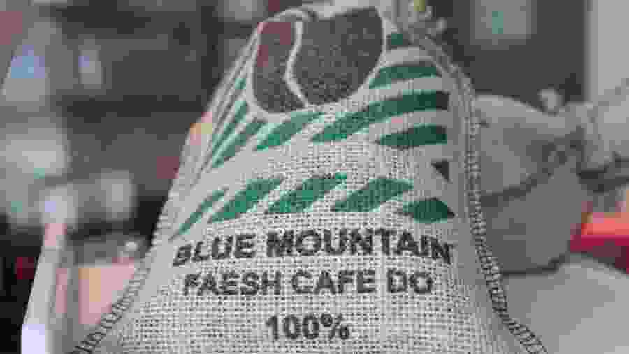 Sample the local coffee