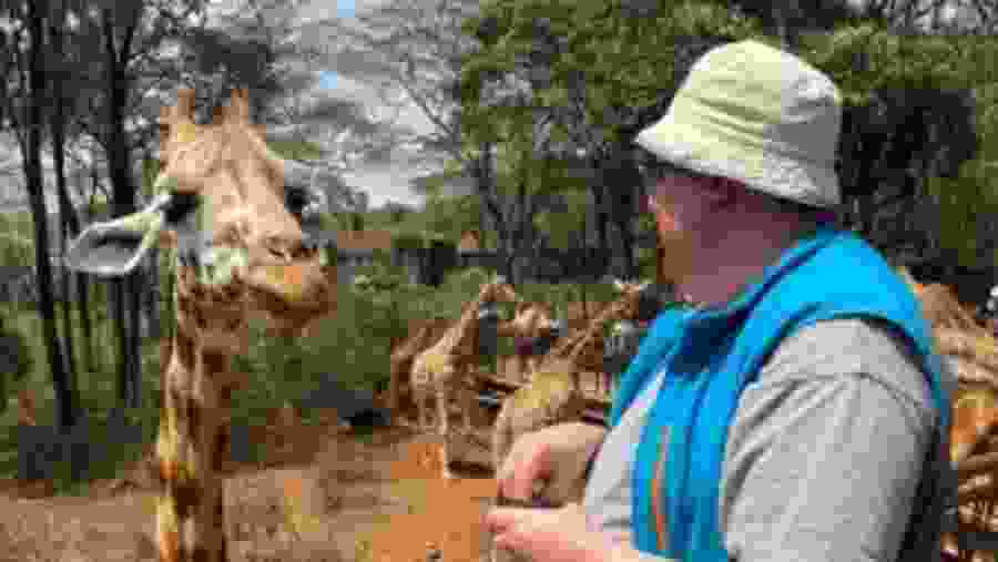 Interact with Giraffes
