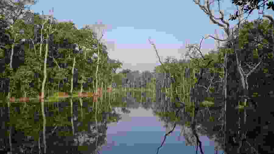 Chitwan National Park