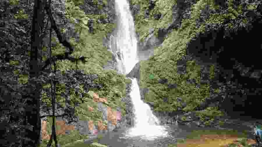 Nyungwe Forest National Park