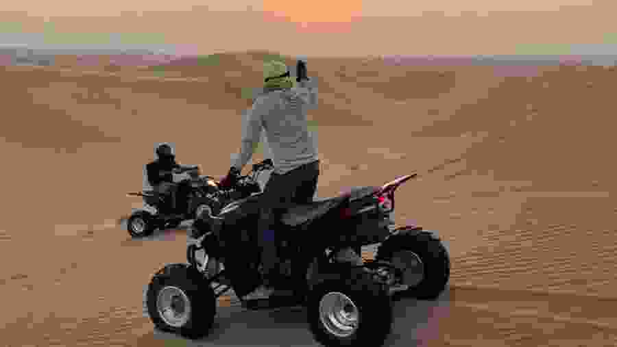 Experience a fun dessert safari