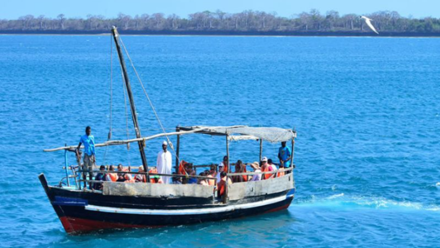 Coastal African Safaris