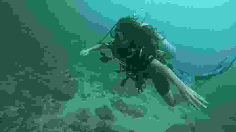 Scuba Diving in Trincomalee