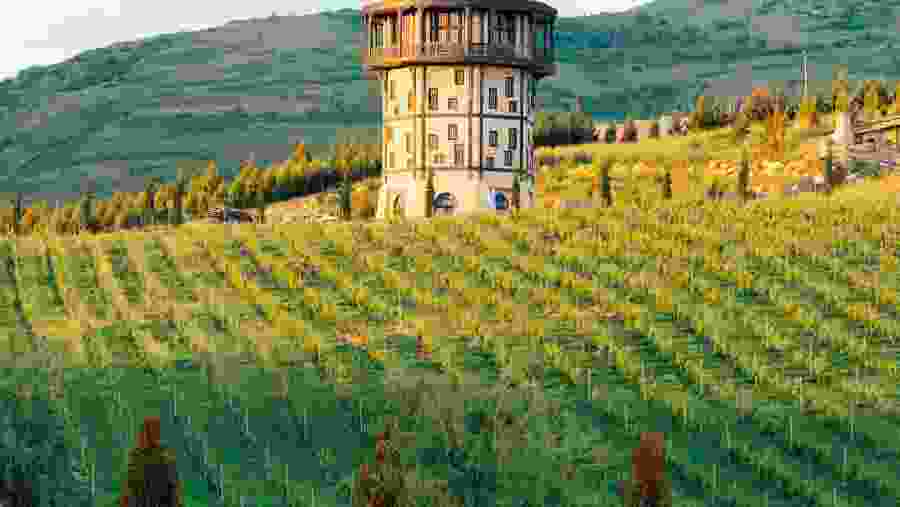 Shamakhi Winery Tour