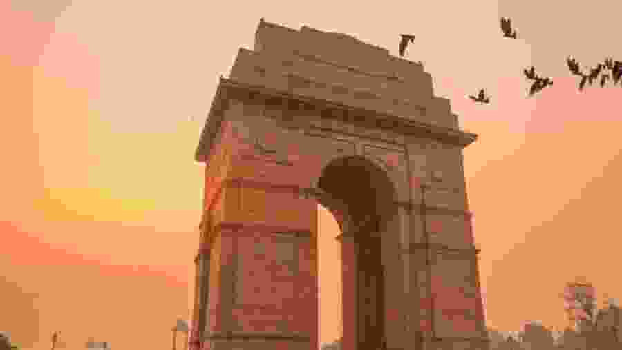 See the India Gate