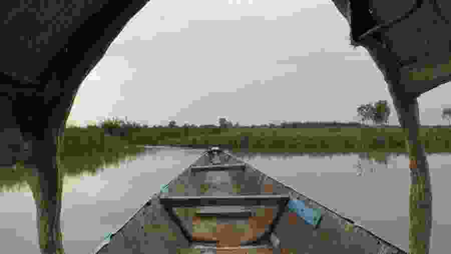Niger River Cruise